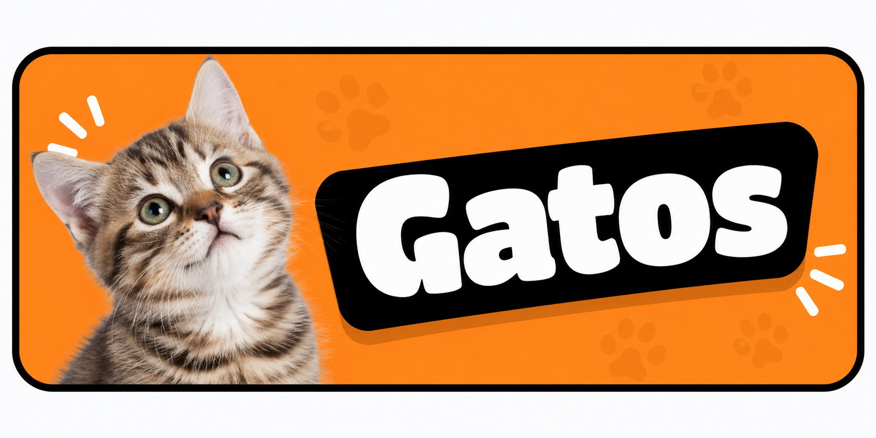 gatos